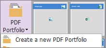(chung)PDFļ